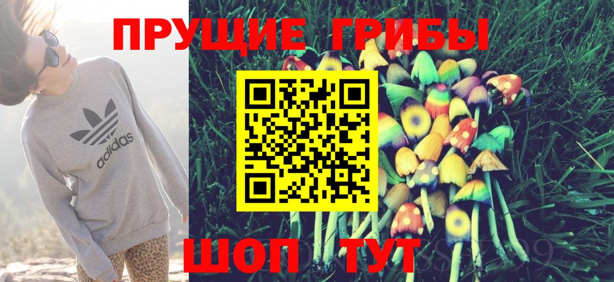 Псилоцибиновые грибы мухоморы  Вход с VPN  Благовещенск 